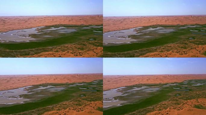沙漠湖泊湿地沙漠生态保护