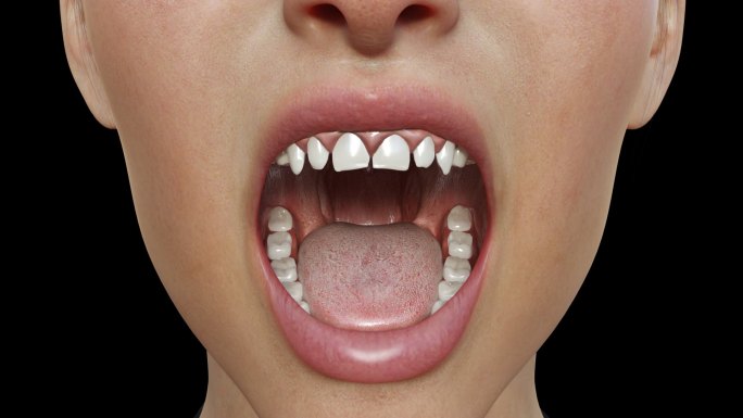口腔牙齿修复生长动画3D医疗效果带通道
