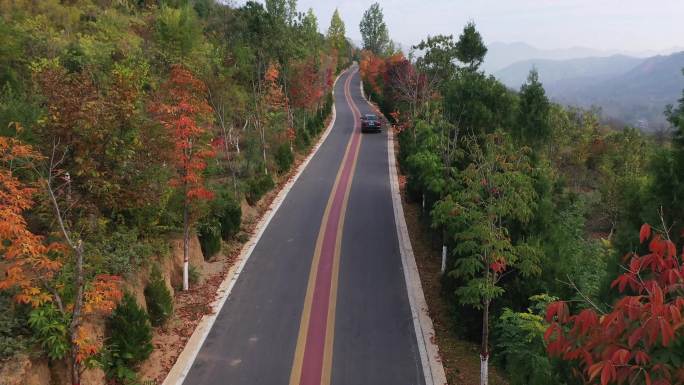 秋天公路风景