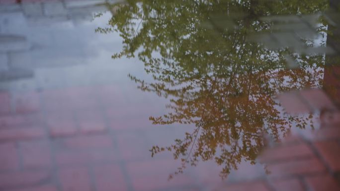 雨后路面水坑倒影