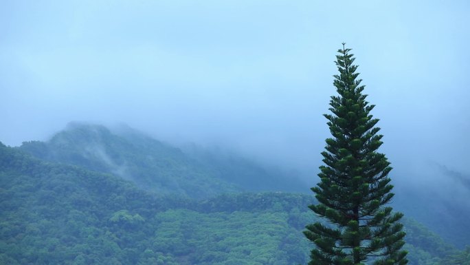 深圳阳台山烟雨山林延时