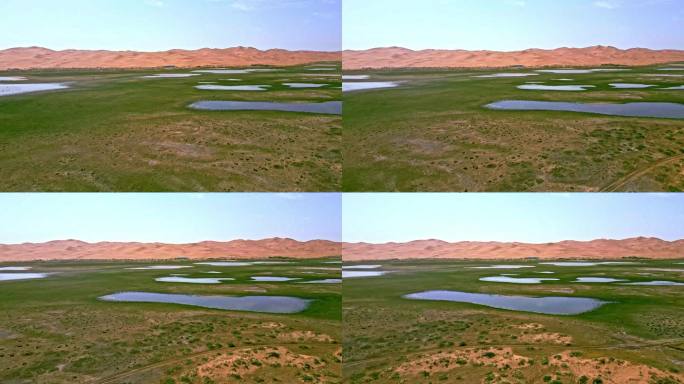 沙漠生态保护沙漠湖泊湿地