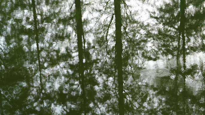水中的树影和水面的涟漪