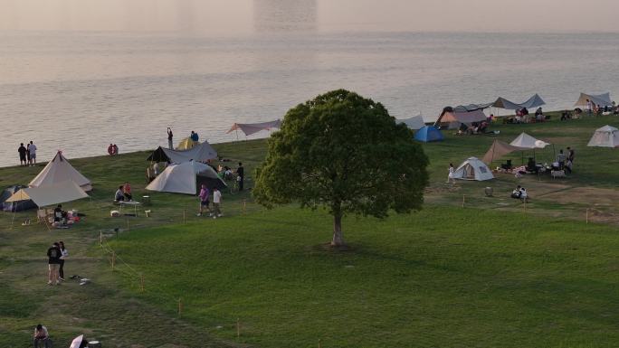 工业园区 落日 一棵树 夕阳 露营 航拍