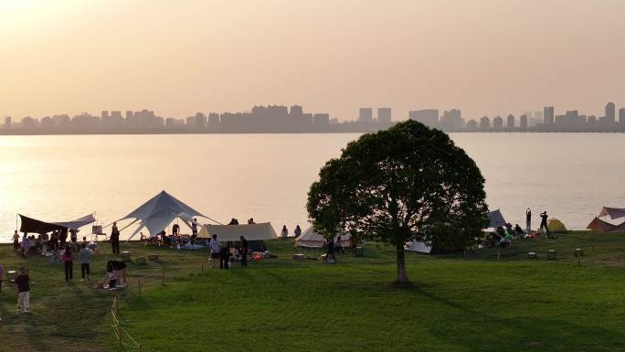 工业园区 落日 一棵树 夕阳 露营 航拍