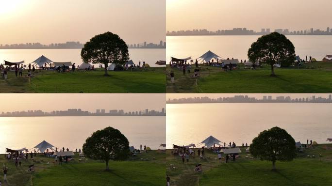 工业园区 落日 一棵树 夕阳 露营 航拍