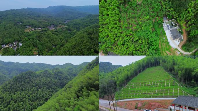 [4K]航拍素材.四川宜宾蜀南竹海