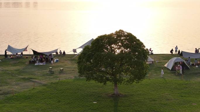 工业园区 落日 一棵树 夕阳 露营 航拍