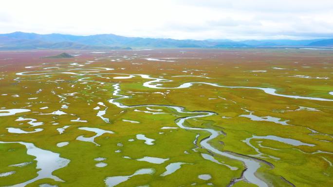 阿万仓湿地 黄河湿地航拍