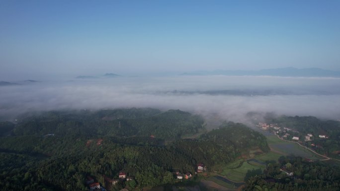 大山森林云海云雾