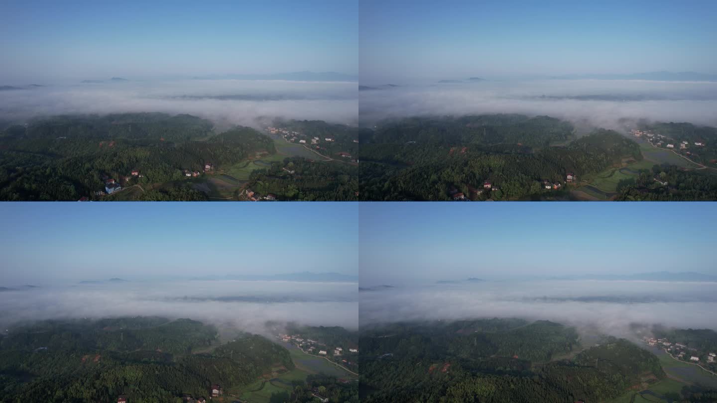 大山森林云海云雾
