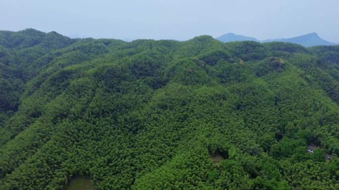 4K航拍短片.四川宜宾蜀南竹海