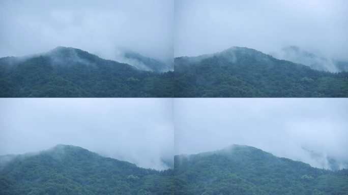 深圳阳台山烟雨山林延时