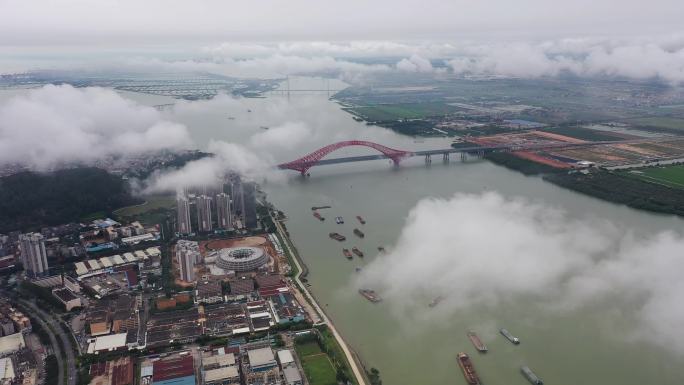 广州 南沙 明珠湾 大桥