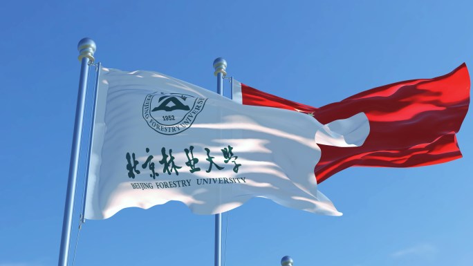 北京林业大学旗帜