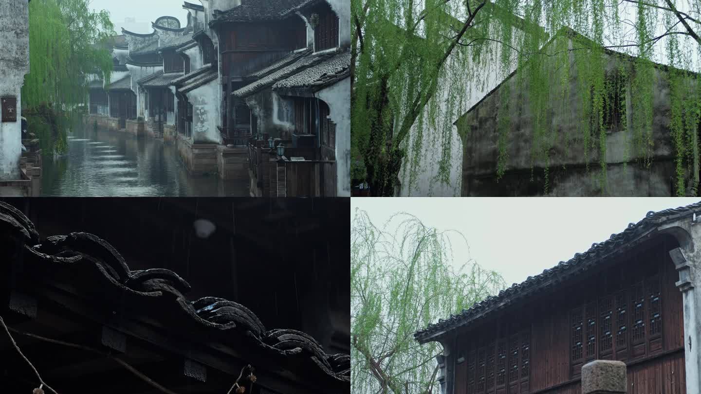 雨后的盛夏-雨后的盛夏,雨后,盛夏 - 早旭阅读