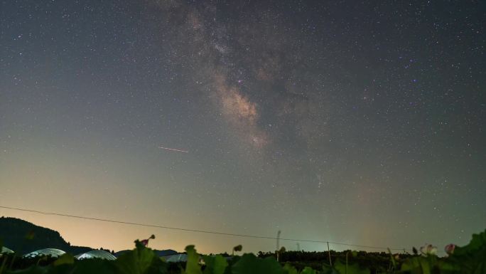 阆中桥亭荷花池星空延时