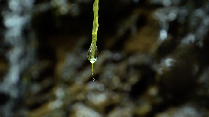 溶洞滴水山水泉水森林自然水源青苔水滴源泉