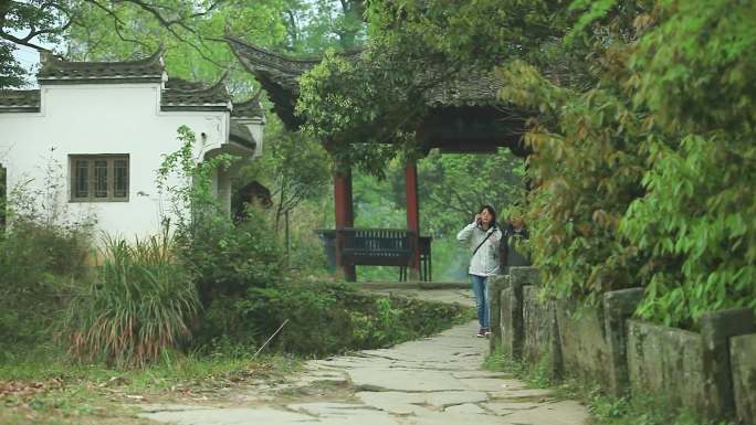 江西婺源江南古镇徽派建筑雕花