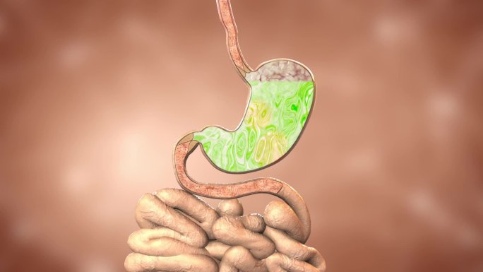 胃酸不在胃里积存了 粘膜的炎症和损伤减少