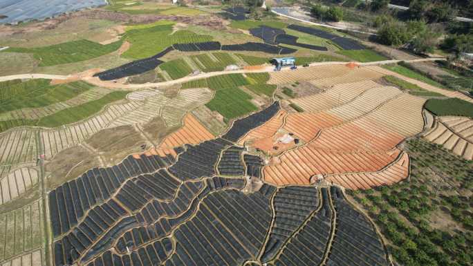 福建宁德福安甘棠镇茶苗繁殖基地航拍