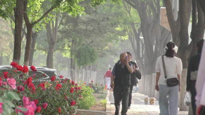 城市早晨留鸟的人行人上学的学生车流骑行