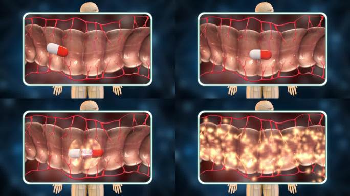 肠道进行分解释放在药物浓度达到最高时吸收
