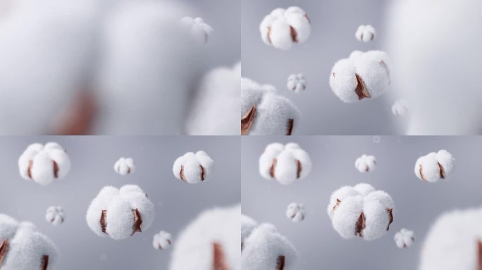 棉花三维动画布料面料棉线原材料