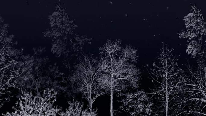 夜间星空下的树影摇晃