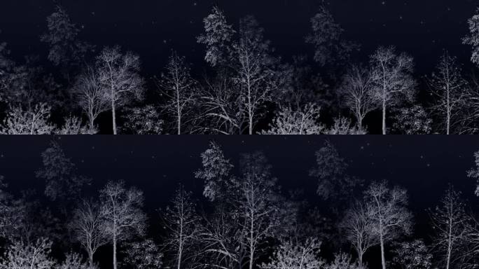 夜间星空下的树影摇晃