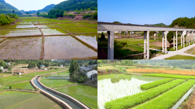 乡村水渠水田多角度素材4K