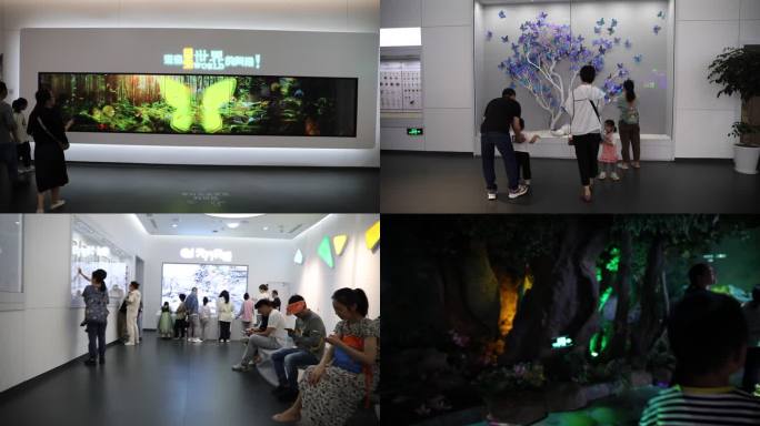 宁波周尧昆虫博物馆参观的市民游客合集