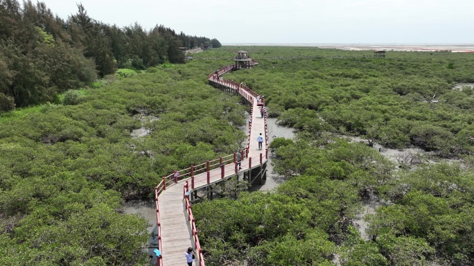 航拍北海金海湾红树林旅游区