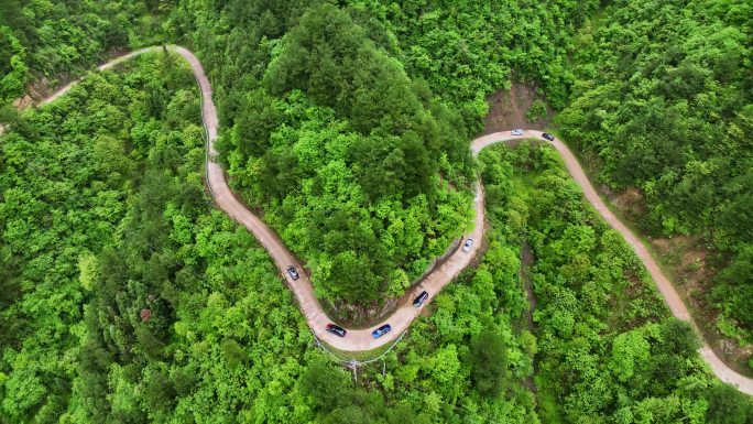 农村婚礼车队 乡村道路 4k实拍