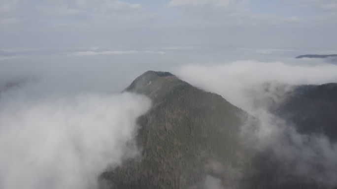 六盘山云雾大景