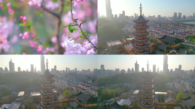 南京玄武区玄武湖景区古鸡鸣寺游客观赏樱花