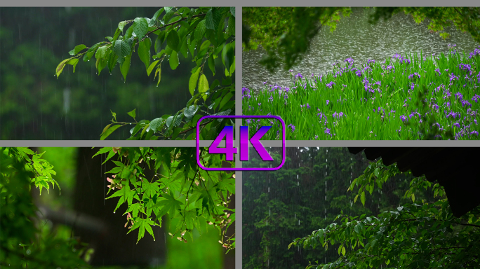 下雨春雨梅雨绿意意境静心细雨雨景