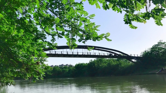 枫杨树的河边 桥上两人骑车经过