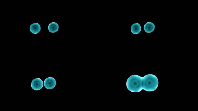 分子结合