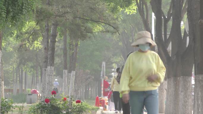 车流骑车行人留鸟的人街头公园打太极拳堵车