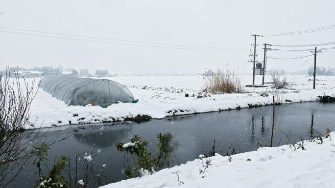 冬天冬乡村农村鹅毛大雪白雪皑皑