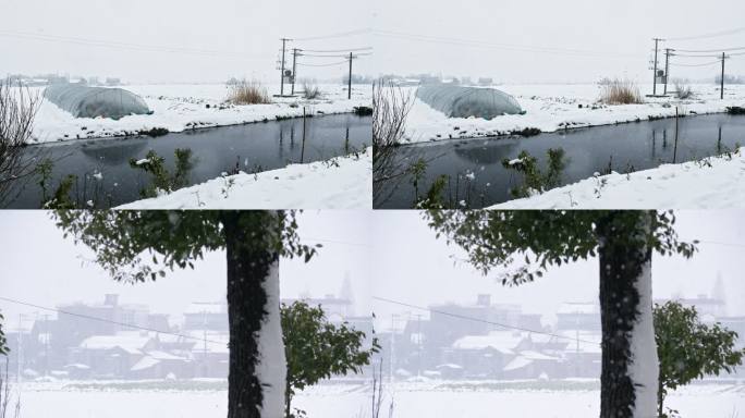 冬天冬乡村农村鹅毛大雪白雪皑皑