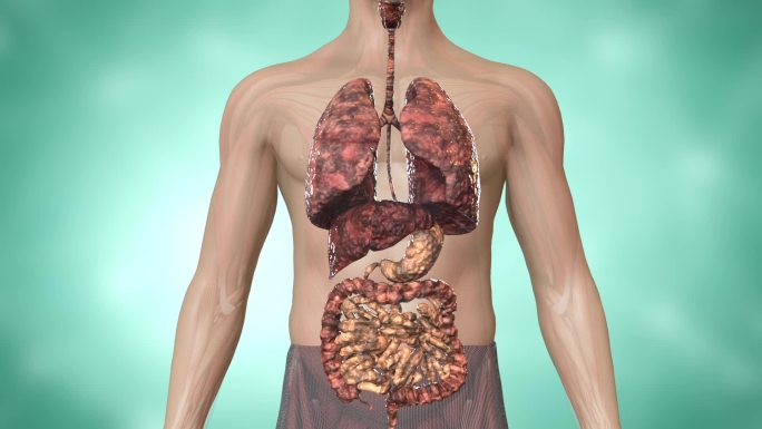 焦油能浸入到器官当中，让肺脏慢慢变黑萎缩