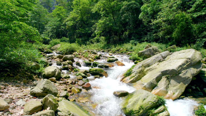 航拍森林溪流 小桥流水 唯美自然生态