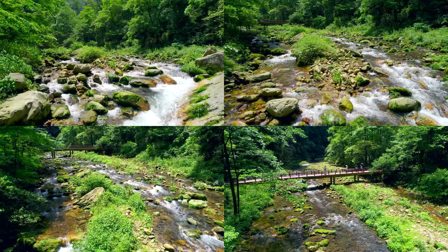 航拍森林溪流 小桥流水 唯美自然生态