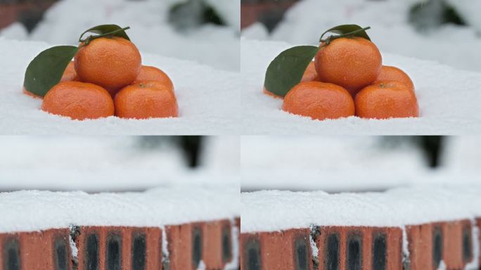 冬天冬季下飘雪沙糖桔红砖墙积雪