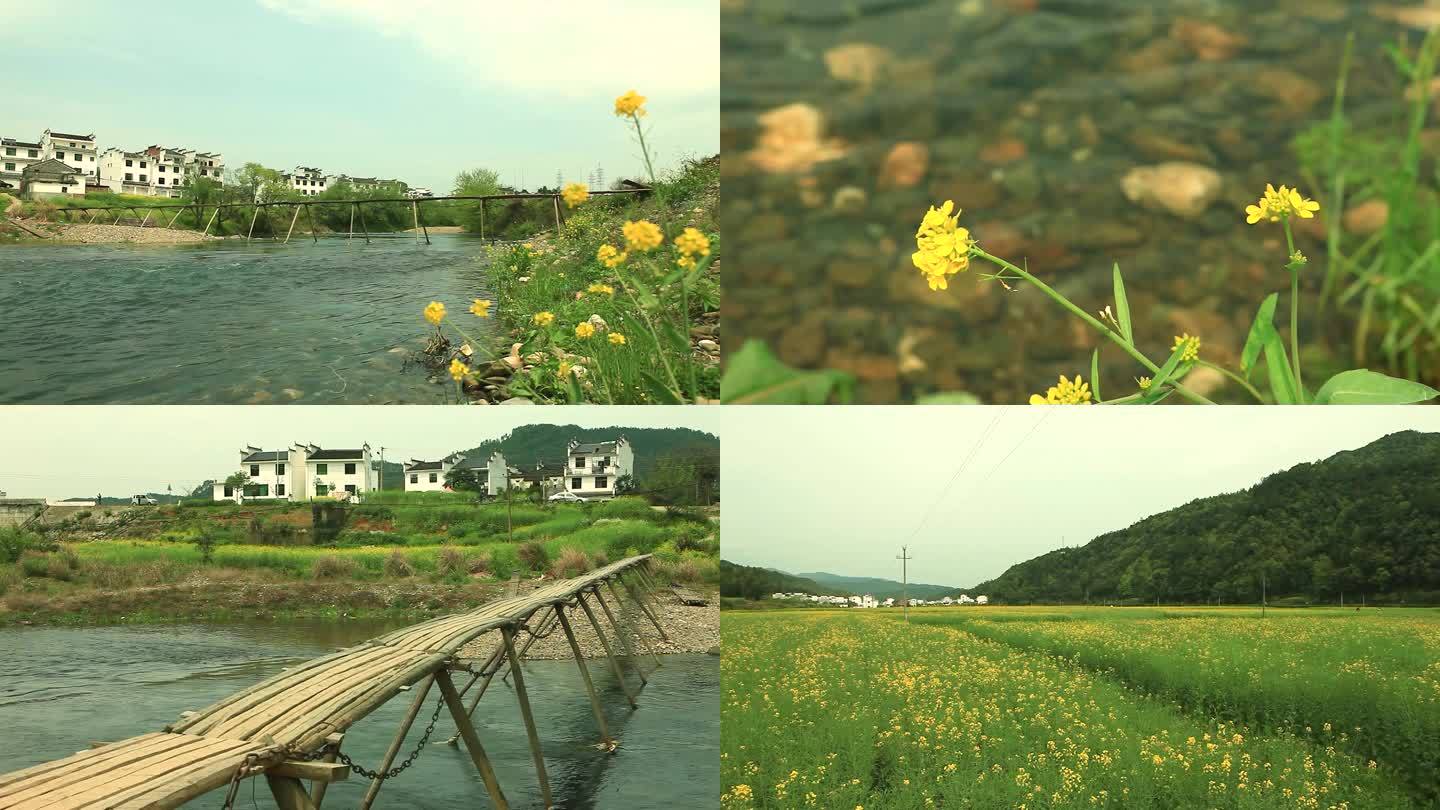 婺源小桥流水油菜花