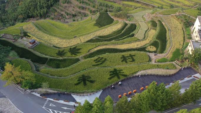 指南村梯田未来乡村