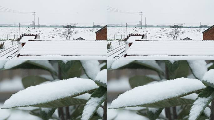 冬天冬季农村乡村鹅毛大白雪皑皑