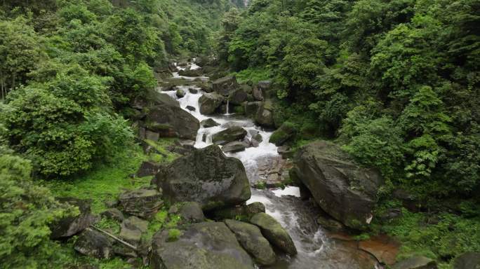 航拍美丽自然溪流森林风景